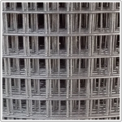 Galvanized Welded Wire Mesh