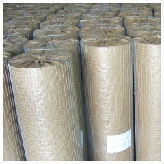 Galvanized Welded Wire Mesh