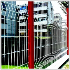 Welded Wire Mesh and Fence