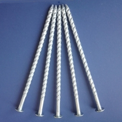 Roofing Nail