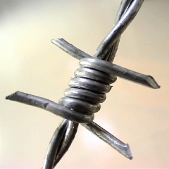 Barbed Wire